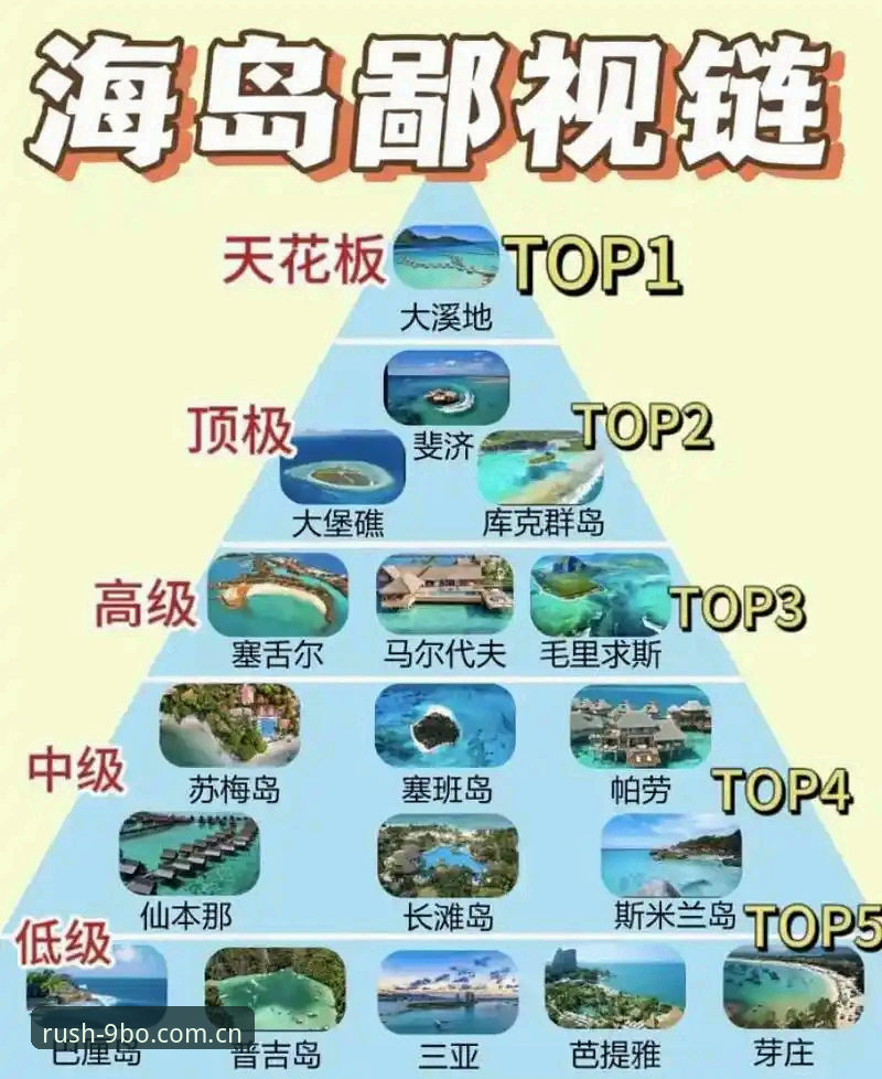 资深用户深度评测：2026BO官方版从下载到实战的完整使用心得